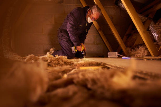 Best Specialized Insulation Services in USA