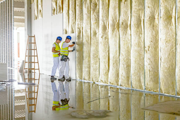 Best Eco-Friendly Insulation in USA